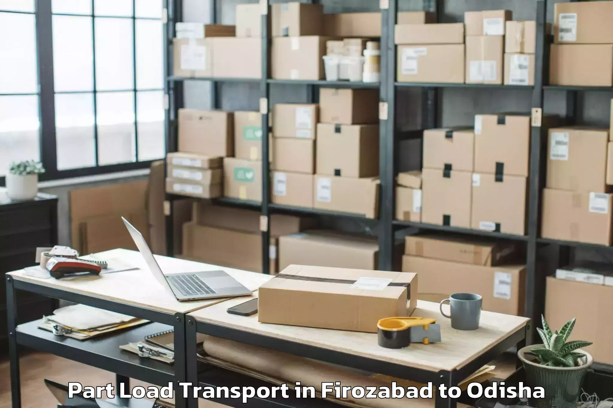 Professional Firozabad to Balikuda Part Load Transport